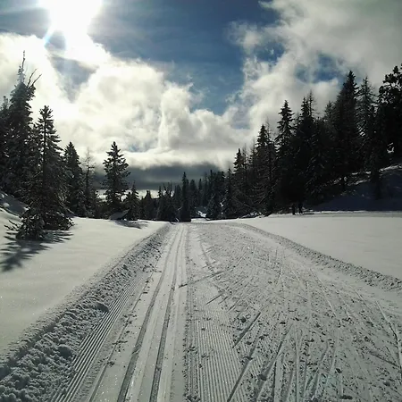 Apartament Turrachart *