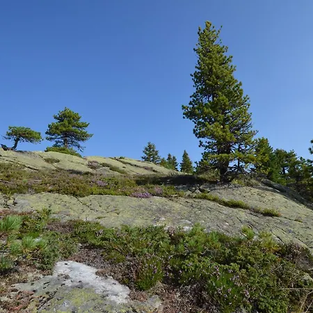 Appartamento Turrachart *