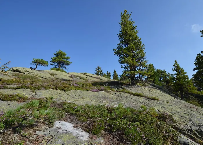 דירה Turrachart *